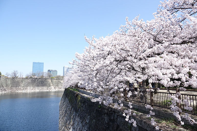桜をキレイに撮る5つのポイント_11