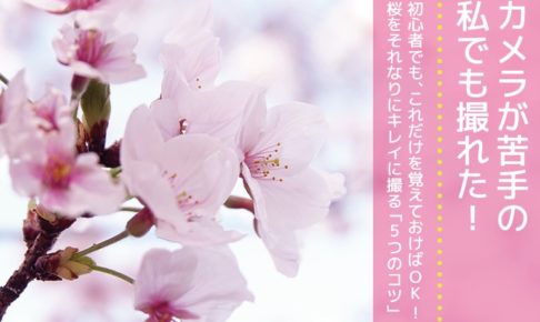 桜をキレイに撮る5つのポイント_2